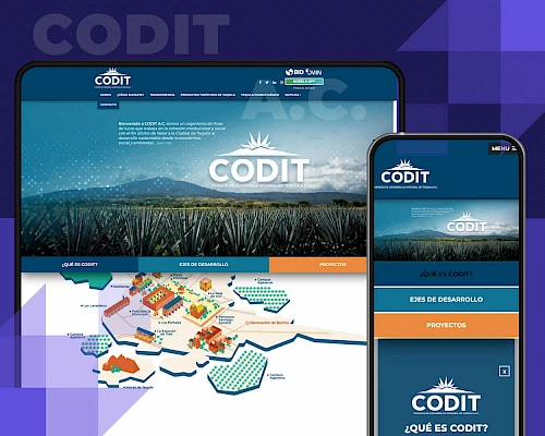 CODIT