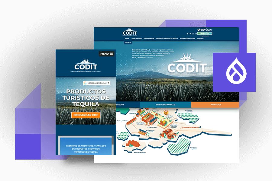 Diseño y desarrollo de sitios web con Drupal